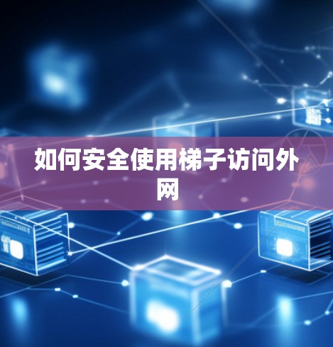 如何安全使用梯子访问外网