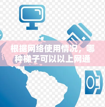 根据网络使用情况，哪种梯子可以以上网通常涉及两种可能性