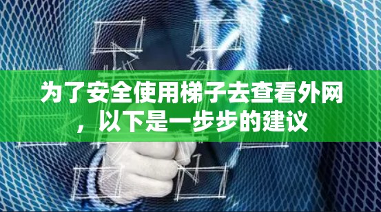 为了安全使用梯子去查看外网，以下是一步步的建议