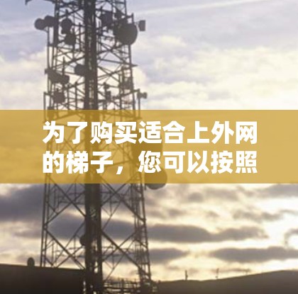 为了购买适合上外网的梯子，您可以按照以下步骤进行