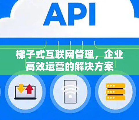 梯子式互联网管理，企业高效运营的解决方案