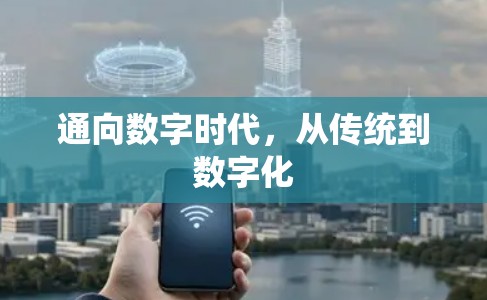 通向数字时代，从传统到数字化