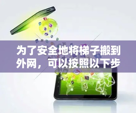 为了安全地将梯子搬到外网，可以按照以下步骤操作