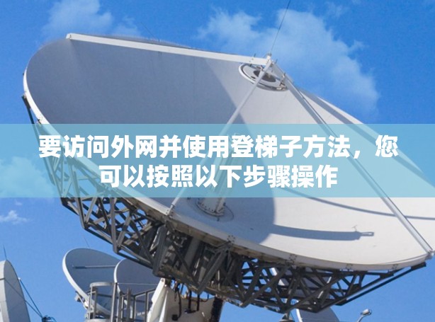 要访问外网并使用登梯子方法，您可以按照以下步骤操作