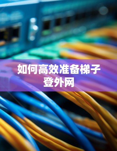 如何高效准备梯子登外网