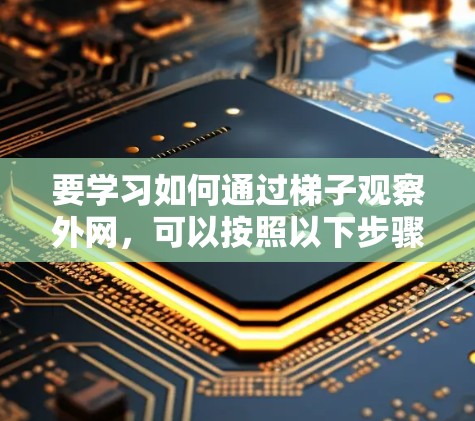 要学习如何通过梯子观察外网，可以按照以下步骤进行
