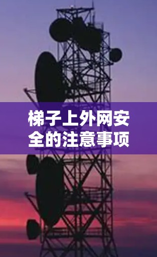 梯子上外网安全的注意事项主要包括以下几个方面