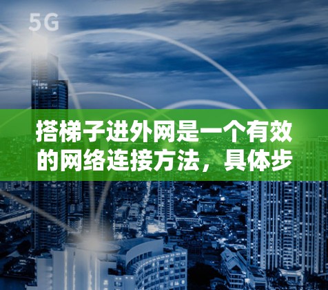 搭梯子进外网是一个有效的网络连接方法，具体步骤如下