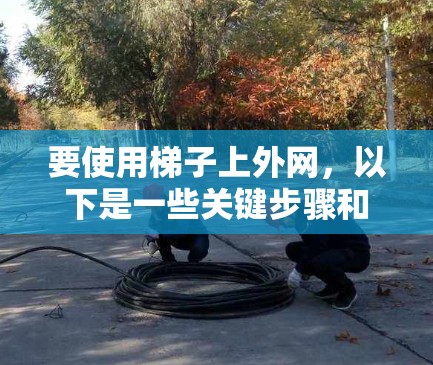 要使用梯子上外网，以下是一些关键步骤和建议