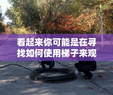 看起来你可能是在寻找如何使用梯子来观察某个网站的方法。以下是一些建议，可以帮助你更好地使用梯子观察网站