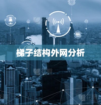 梯子结构外网分析