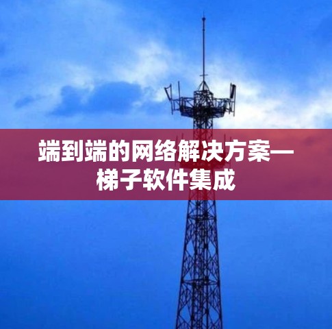 端到端的网络解决方案—梯子软件集成