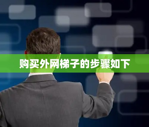 购买外网梯子的步骤如下