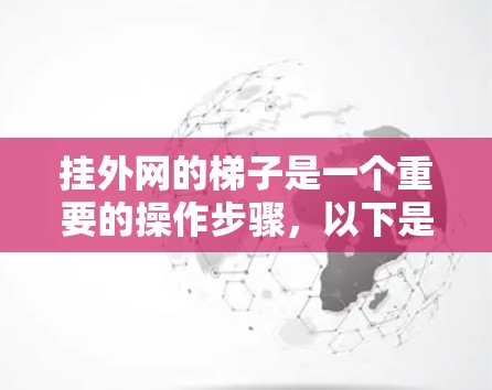 挂外网的梯子是一个重要的操作步骤，以下是详细的步骤指南