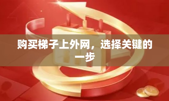 购买梯子上外网，选择关键的一步