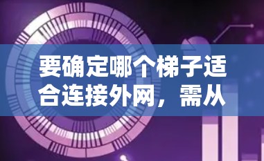 要确定哪个梯子适合连接外网，需从梯子的设计、用途和适用性出发。以下是一些建议