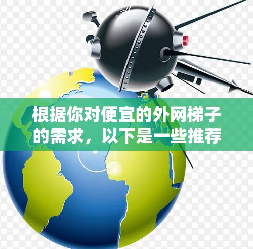 根据你对便宜的外网梯子的需求，以下是一些推荐和思考