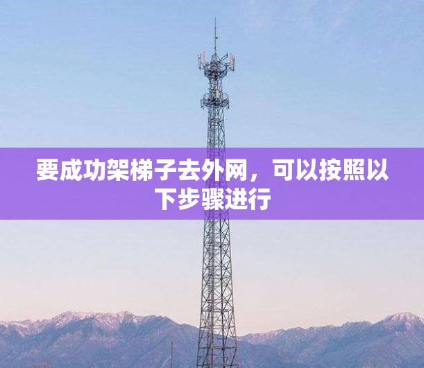 要成功架梯子去外网，可以按照以下步骤进行
