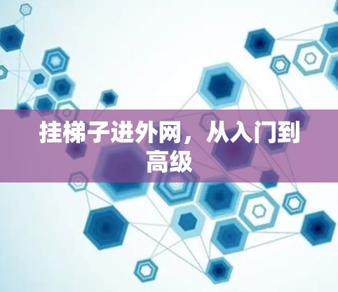 挂梯子进外网，从入门到高级