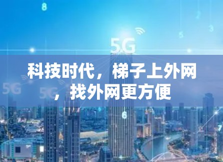 科技时代，梯子上外网，找外网更方便