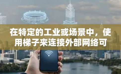 在特定的工业或场景中，使用梯子来连接外部网络可能涉及到固定路由器或交换机的位置。然而，通常在现代网络环境中，使用梯子来连接设备是不常见的。以下是逐步解释
