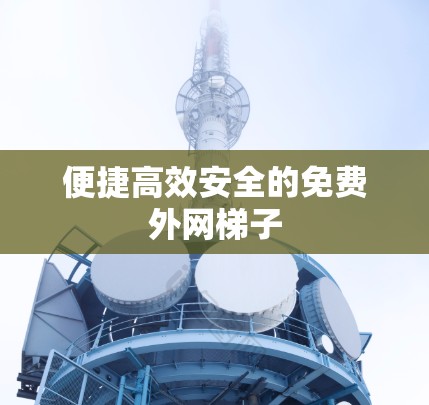 便捷高效安全的免费外网梯子