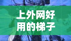 上外网好用的梯子，连接网络的一条重要线