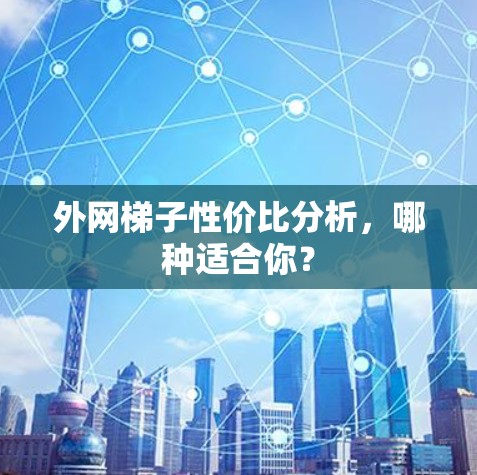 外网梯子性价比分析，哪种适合你？