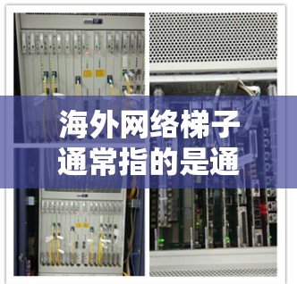 海外网络梯子通常指的是通过互联网连接到不同国家或地区的网站，或者是一个由多个网站组成的网络结构，用于访问海外内容。以下是一些常见的海外网络梯子和网站，帮助您找到适合的连接点