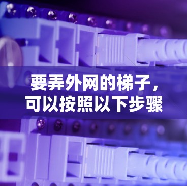 要弄外网的梯子，可以按照以下步骤进行