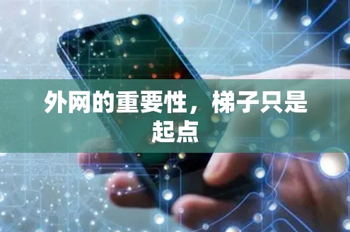 外网的重要性，梯子只是起点