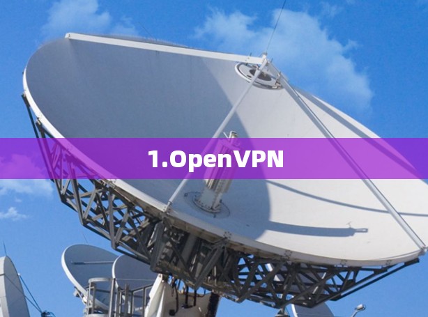 1.OpenVPN