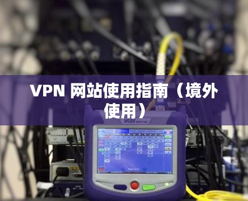 VPN 网站使用指南（境外使用）