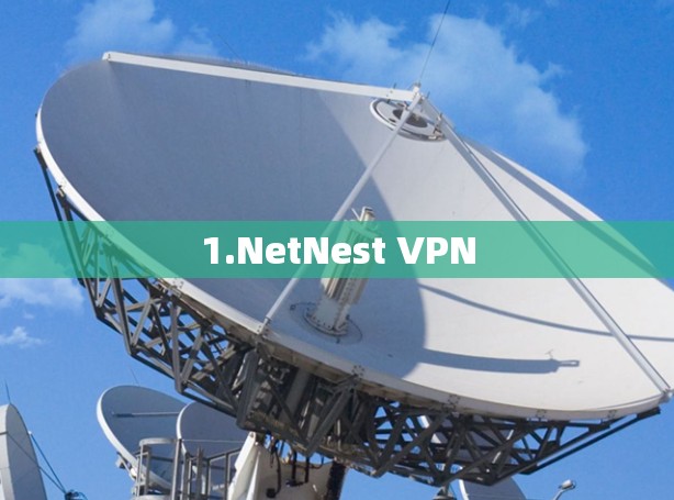 1.NetNest VPN