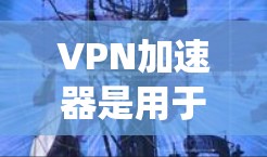 VPN加速器是用于连接VPN和本地网络的工具，而免费下载软件需要谨慎选择，以确保安全和性能。以下是对VPN加速器免费下载体验的系统分析
