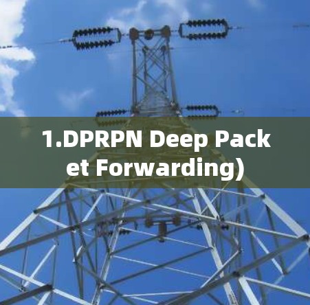 1.DPRPN Deep Packet Forwarding)