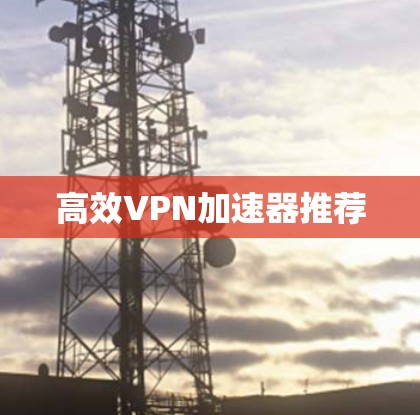 高效VPN加速器推荐