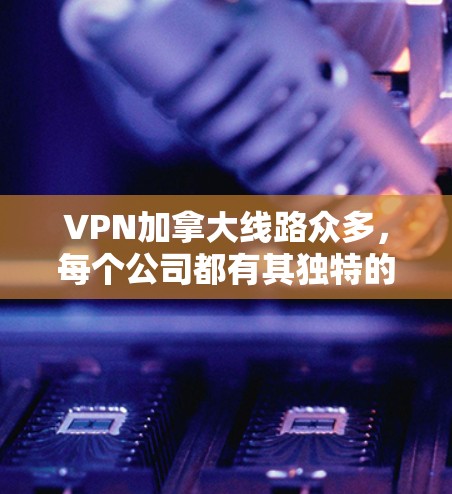 VPN加拿大线路众多，每个公司都有其独特的服务和特点。以下是一些主要的VPN服务和建议