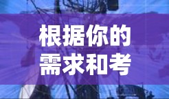 根据你的需求和考虑因素，以下是推荐的VPN应用