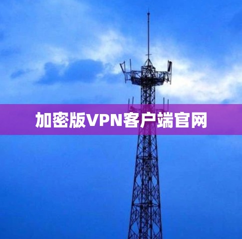 加密版VPN客户端官网