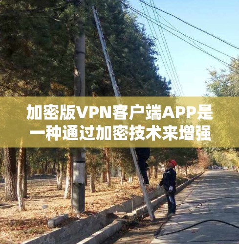 加密版VPN客户端APP是一种通过加密技术来增强数据安全的VPN应用。以下是该类应用的主要特点和优势
