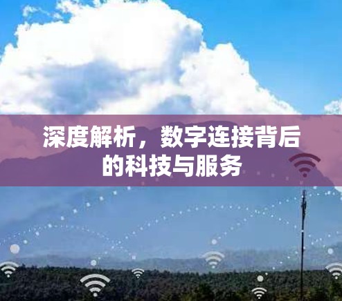 深度解析，数字连接背后的科技与服务