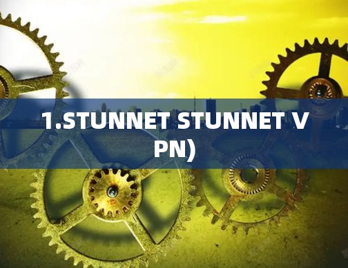 1.STUNNET STUNNET VPN)