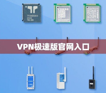 VPN极速版官网入口