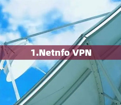 1.Netnfo VPN