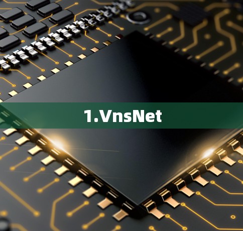 1.VnsNet