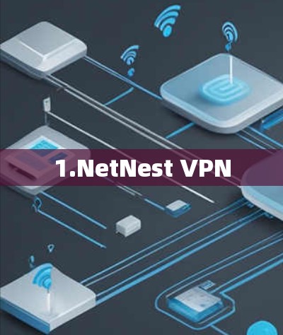 1.NetNest VPN
