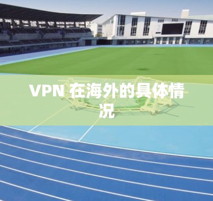 VPN 在海外的具体情况