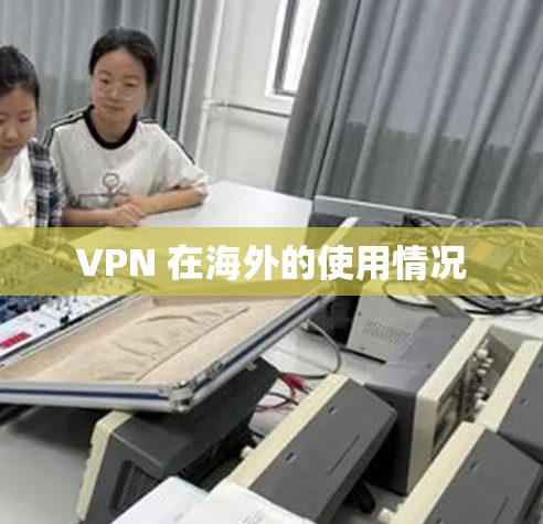 VPN 在海外的使用情况