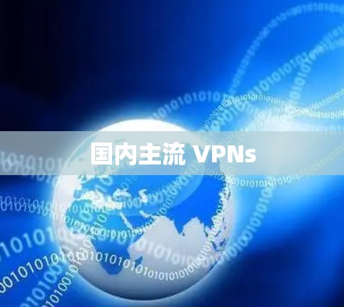 国内主流 VPNs